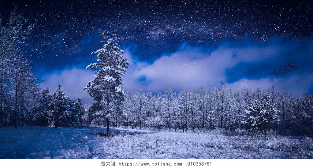夜空下的森林雪景美丽的冬天的夜晚的星空雪木